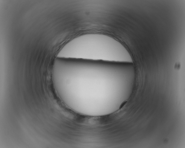 X0000110940078200906191100