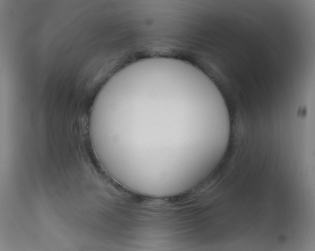 X0000110940079200906191100