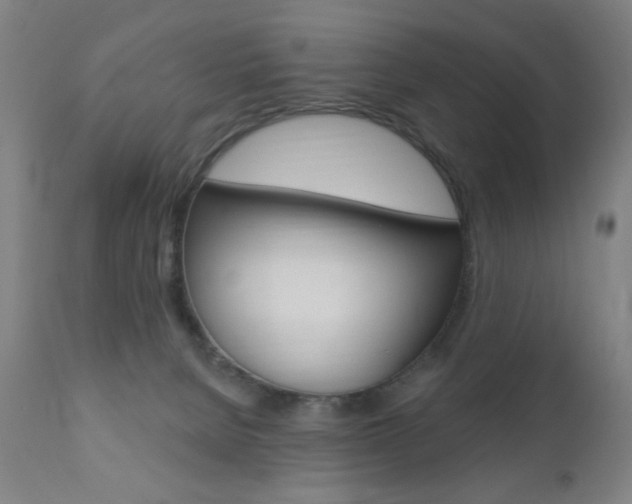 X0000110940080200906191100