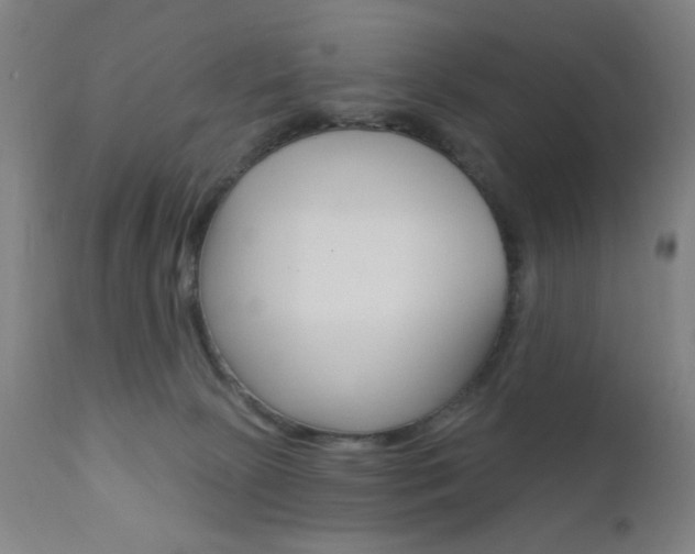 X0000110940081200906191100