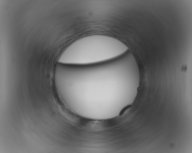 X0000110940082200906191100