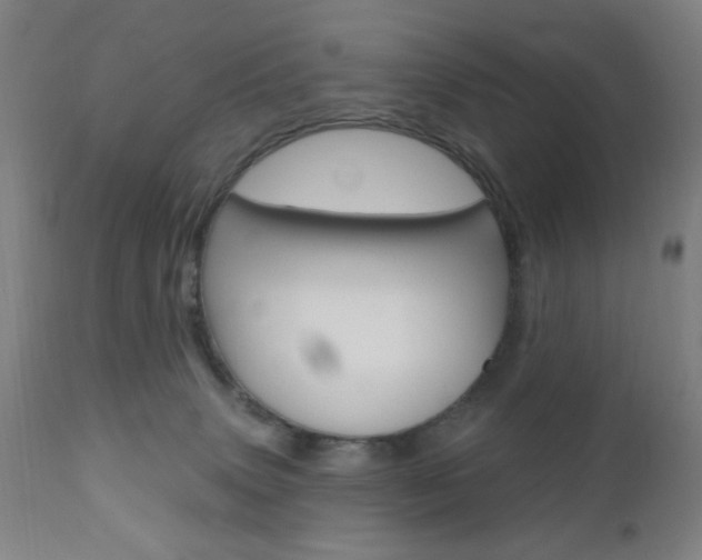 X0000110940083200906191100