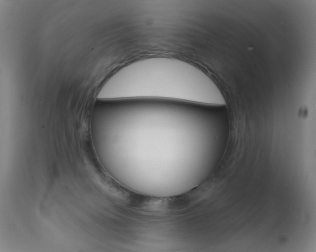 X0000110940084200906191100
