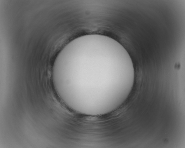 X0000110940085200906191100
