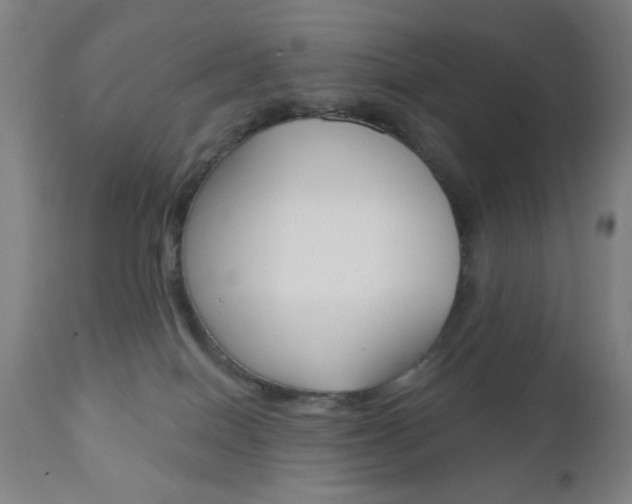 X0000110940086200906191100