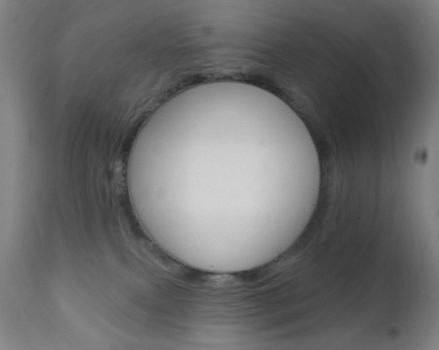 X0000110940087200906191100