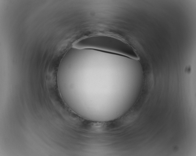 X0000110940088200906191101