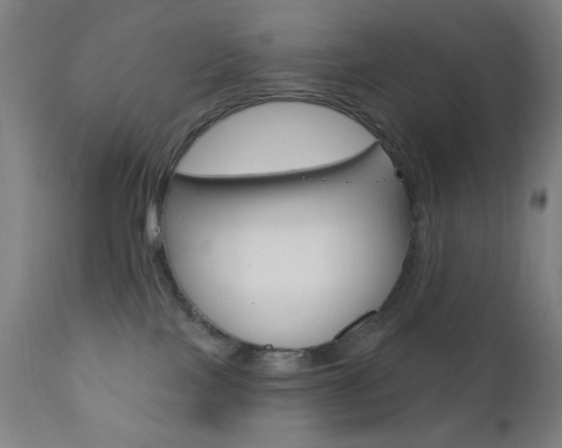 X0000110940089200906191101