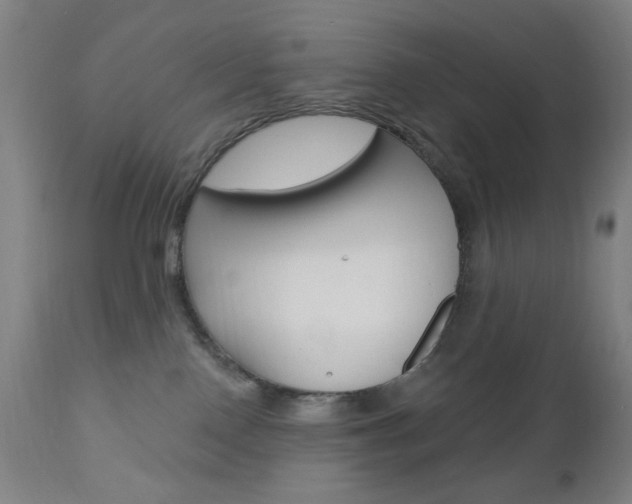 X0000110940090200906191101