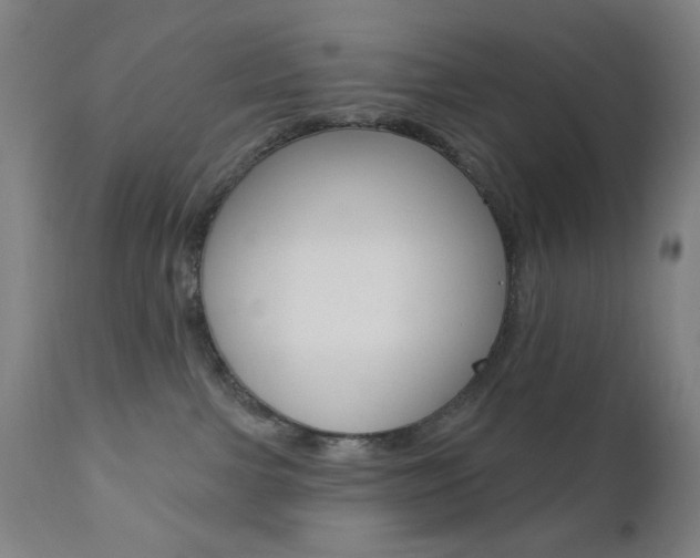 X0000110940091200906191101
