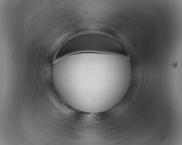 X0000110940092200906191101