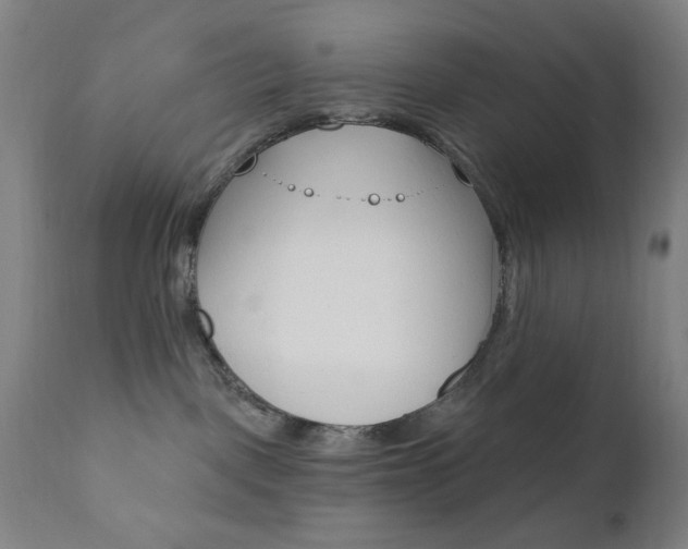 X0000110940093200906191101