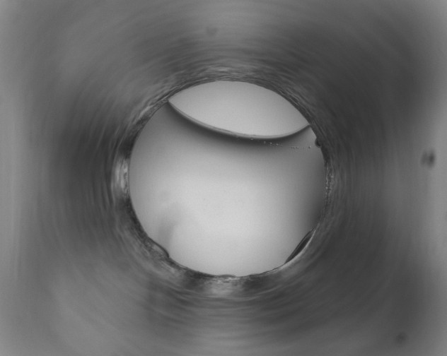 X0000110940094200906191101