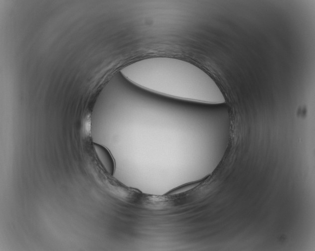 X0000110940095200906191101