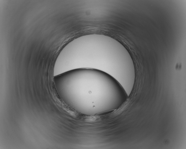 X0000110940096200906191101