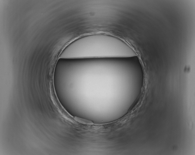 X0000110940097200906191100