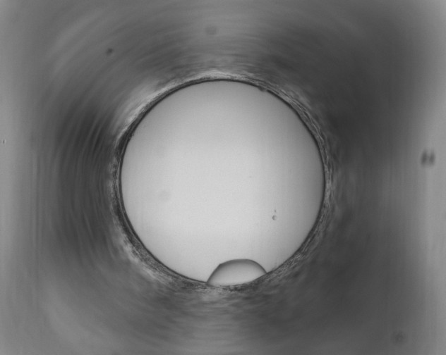 X0000110940098200906191100
