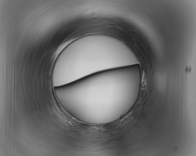 X0000110940099200906191100