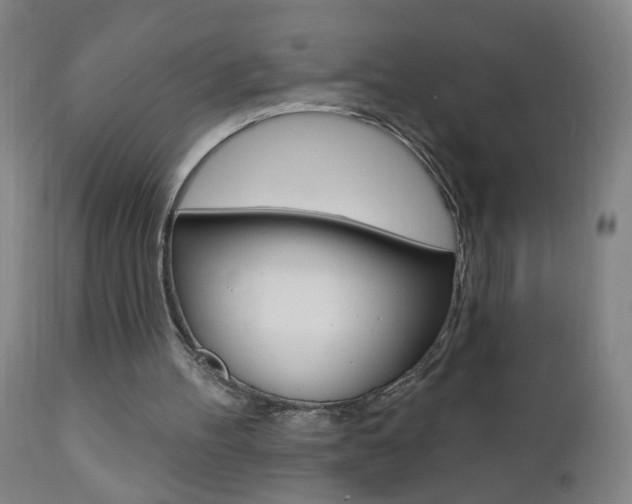 X0000110940100200906191100