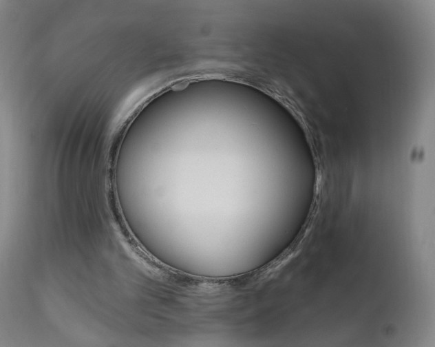 X0000110940101200906191100