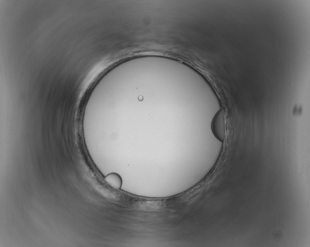 X0000110940102200906191100