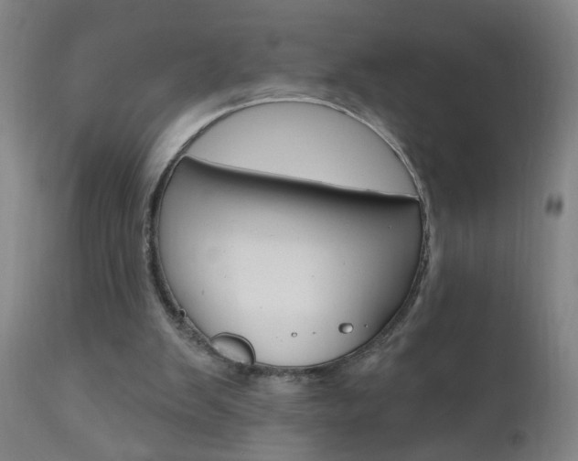 X0000110940103200906191100