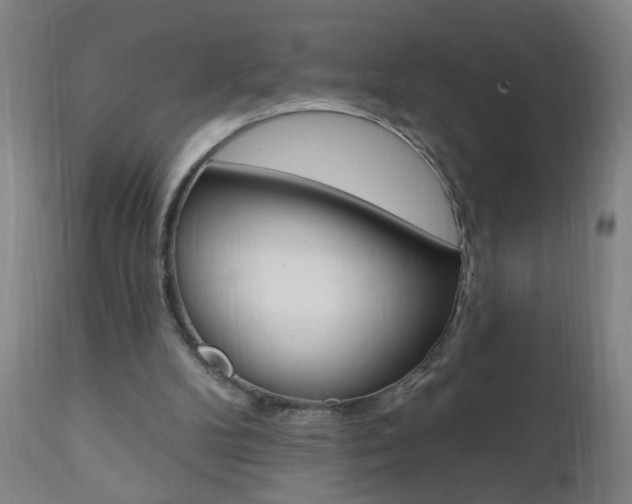 X0000110940104200906191100