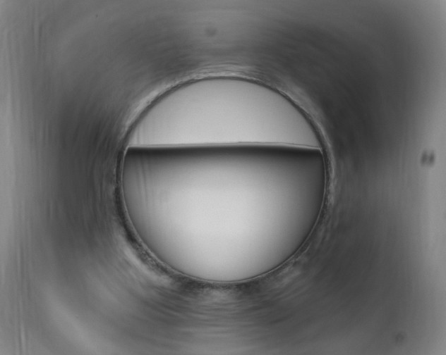 X0000110940107200906191059