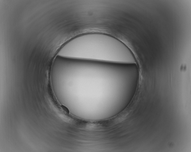X0000110940109200906191059