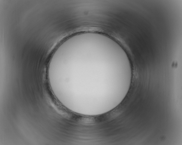 X0000110940110200906191059
