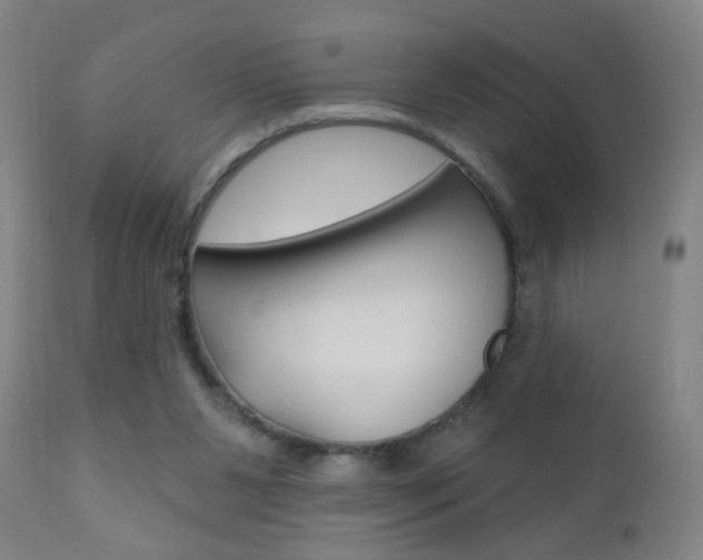 X0000110940111200906191059