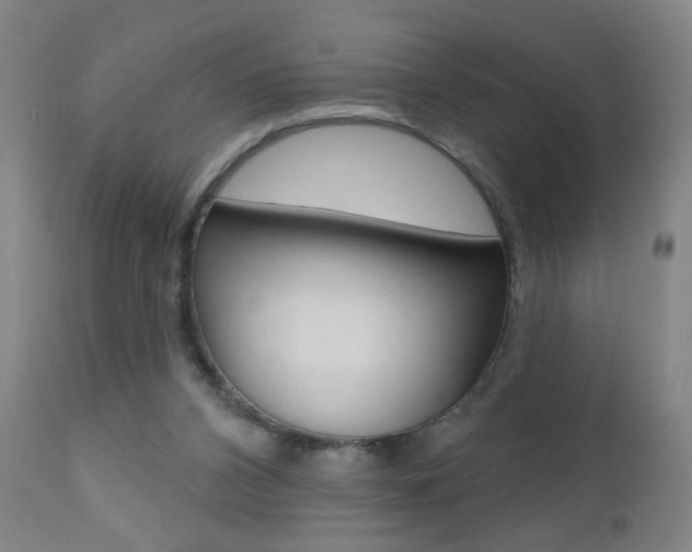 X0000110940112200906191059