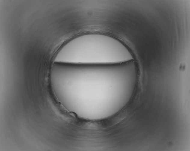X0000110940115200906191059