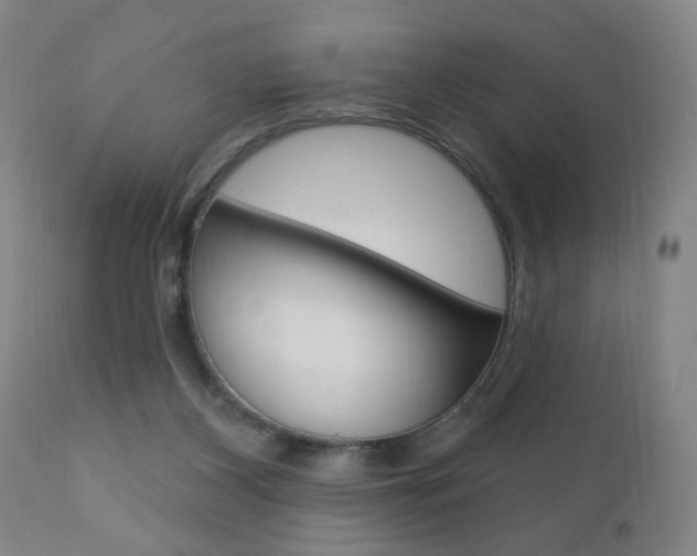 X0000110940116200906191059