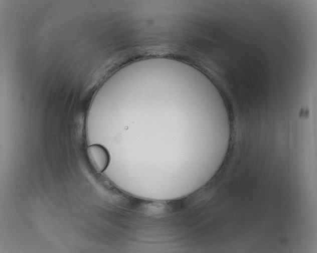X0000110940118200906191059