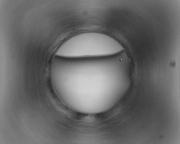 X0000110940119200906191059