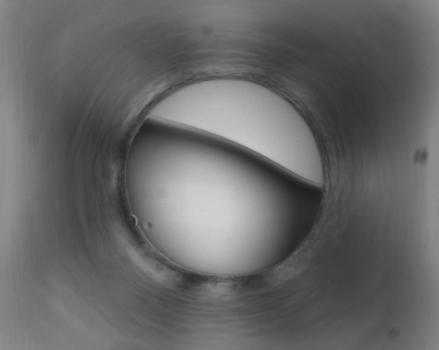 X0000110940120200906191059