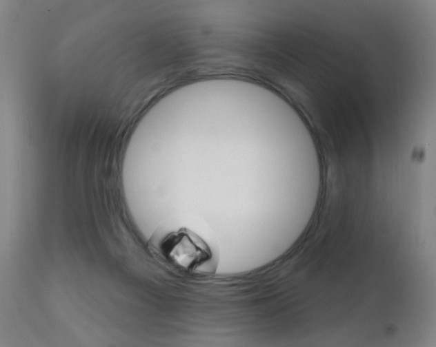X0000110940121200906191059