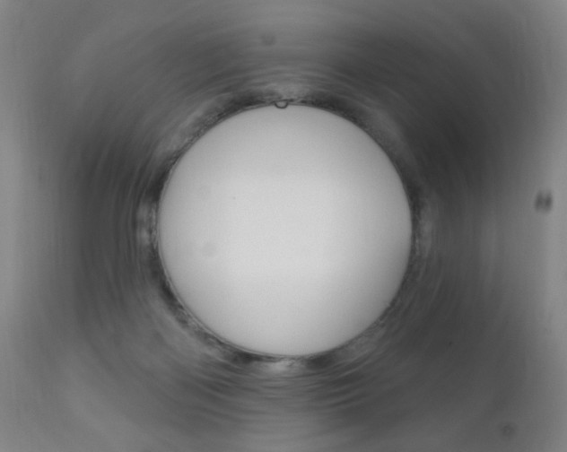 X0000110940122200906191059