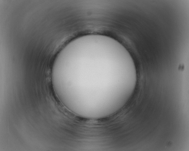 X0000110940123200906191059