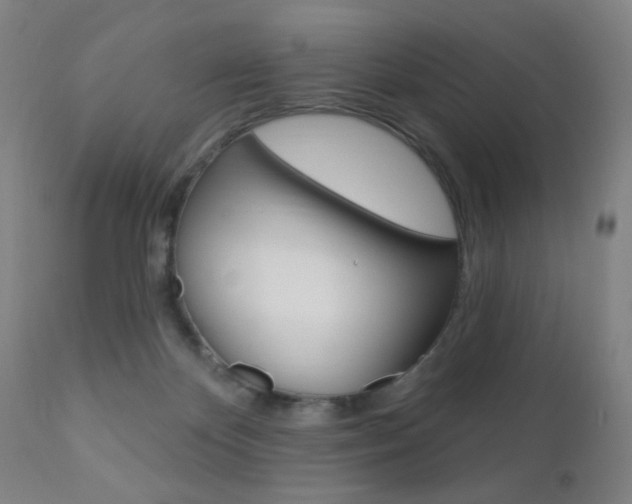 X0000110940124200906191059