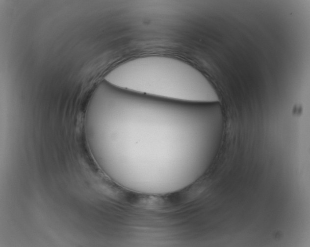 X0000110940125200906191059