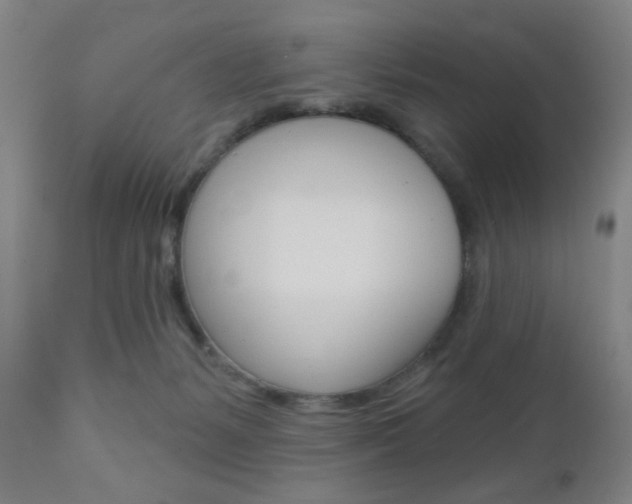 X0000110940127200906191059