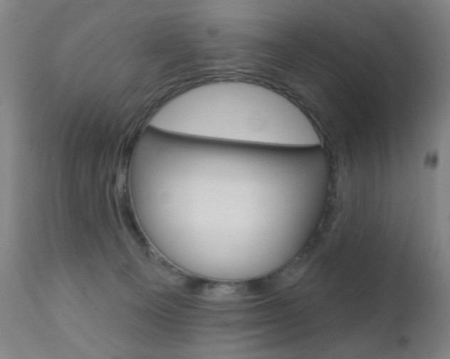 X0000110940129200906191059