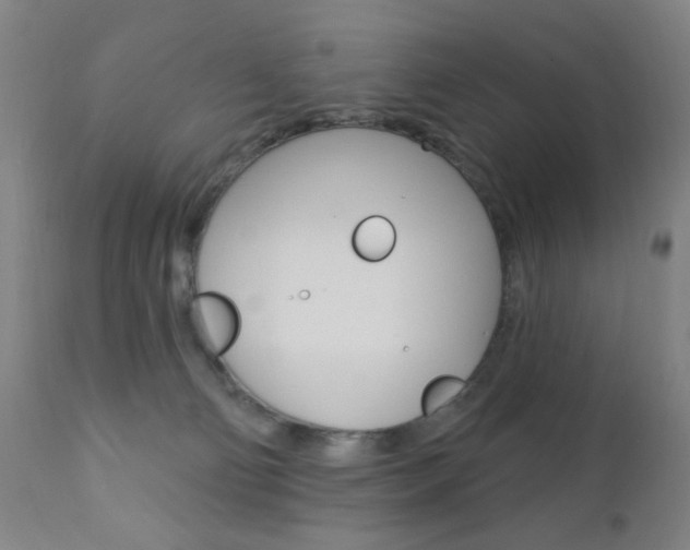 X0000110940130200906191059
