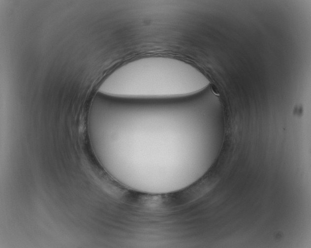 X0000110940131200906191059