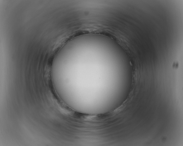 X0000110940132200906191059