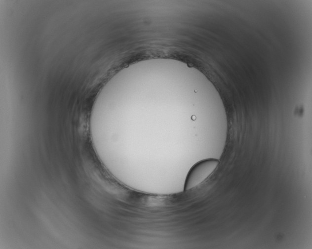 X0000110940134200906191059