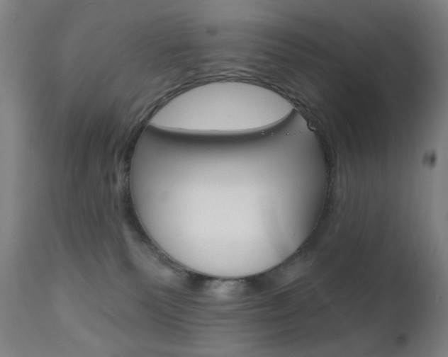 X0000110940135200906191059