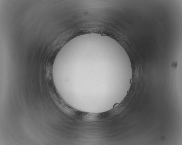 X0000110940138200906191059
